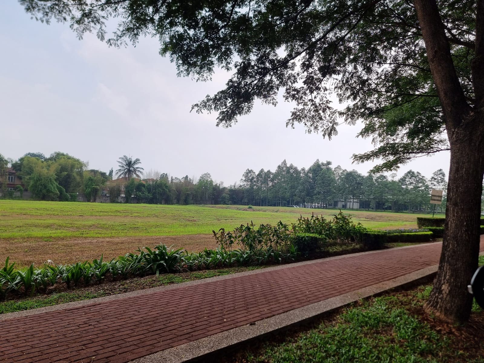 Disewakan kavling Tanah di jalan raya bulevard Suvarna Sutera Cikupa Tangerang (RR) - Foto 2