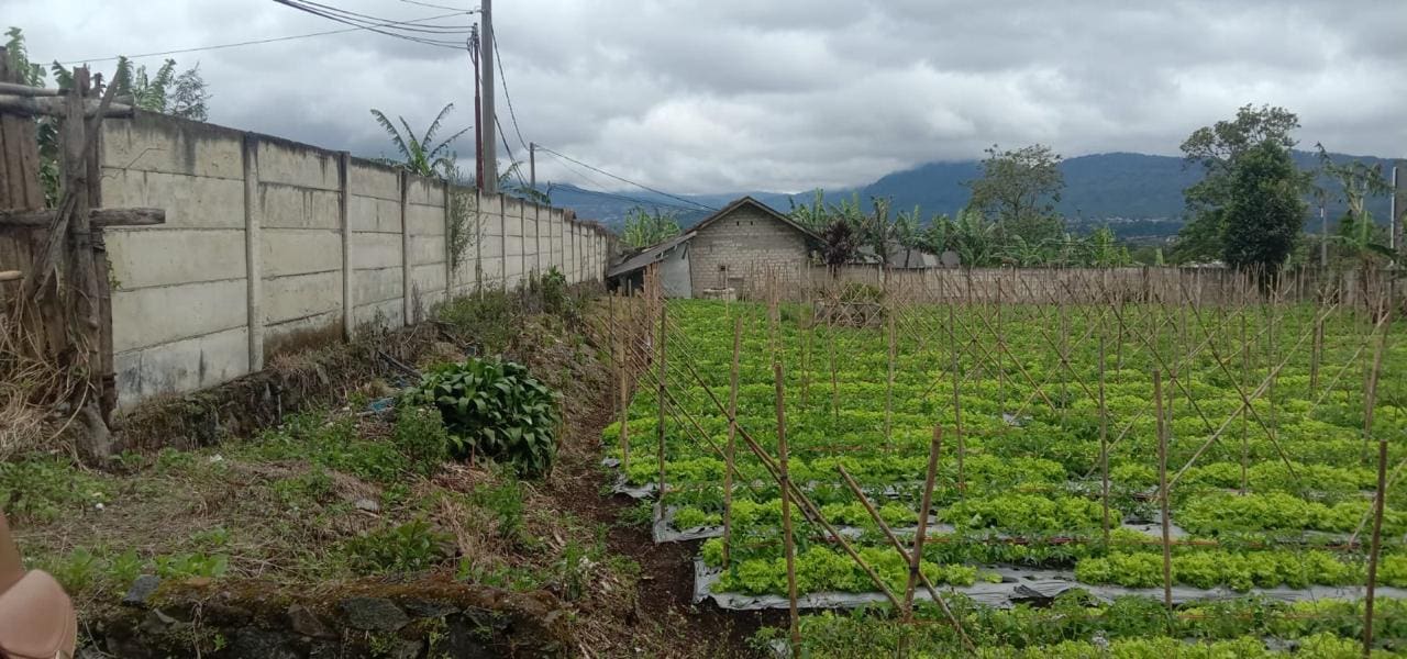 Jual Kavling Tanah di daerah Cikole Lembang Jawa Barat (RR) - Foto 6