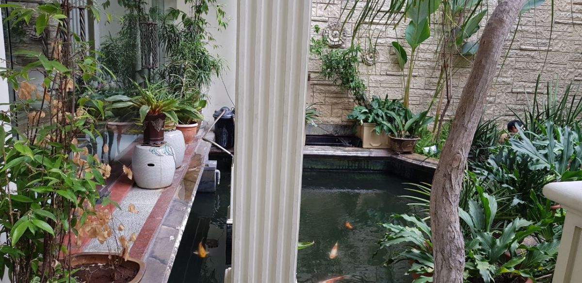 Jual Cepat Rumah 2,5 lantai Semi Basement Di Menteng Jakarta Pusat (ID) - Foto 3