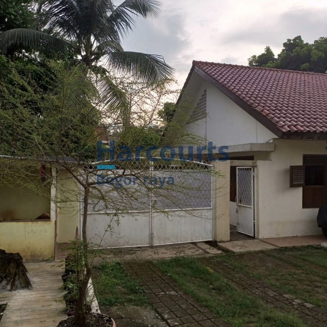 Dijual Tanah Dan Bangunan di Jalan Pajajaran Baranangsiang - Foto 4