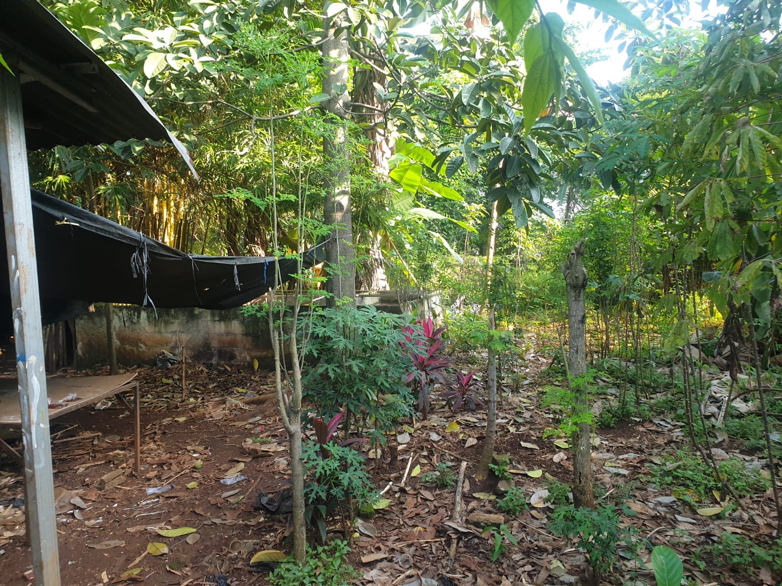 Jual Cepat Tanah di Joglo Kembangan Jakarta Barat (CR)
