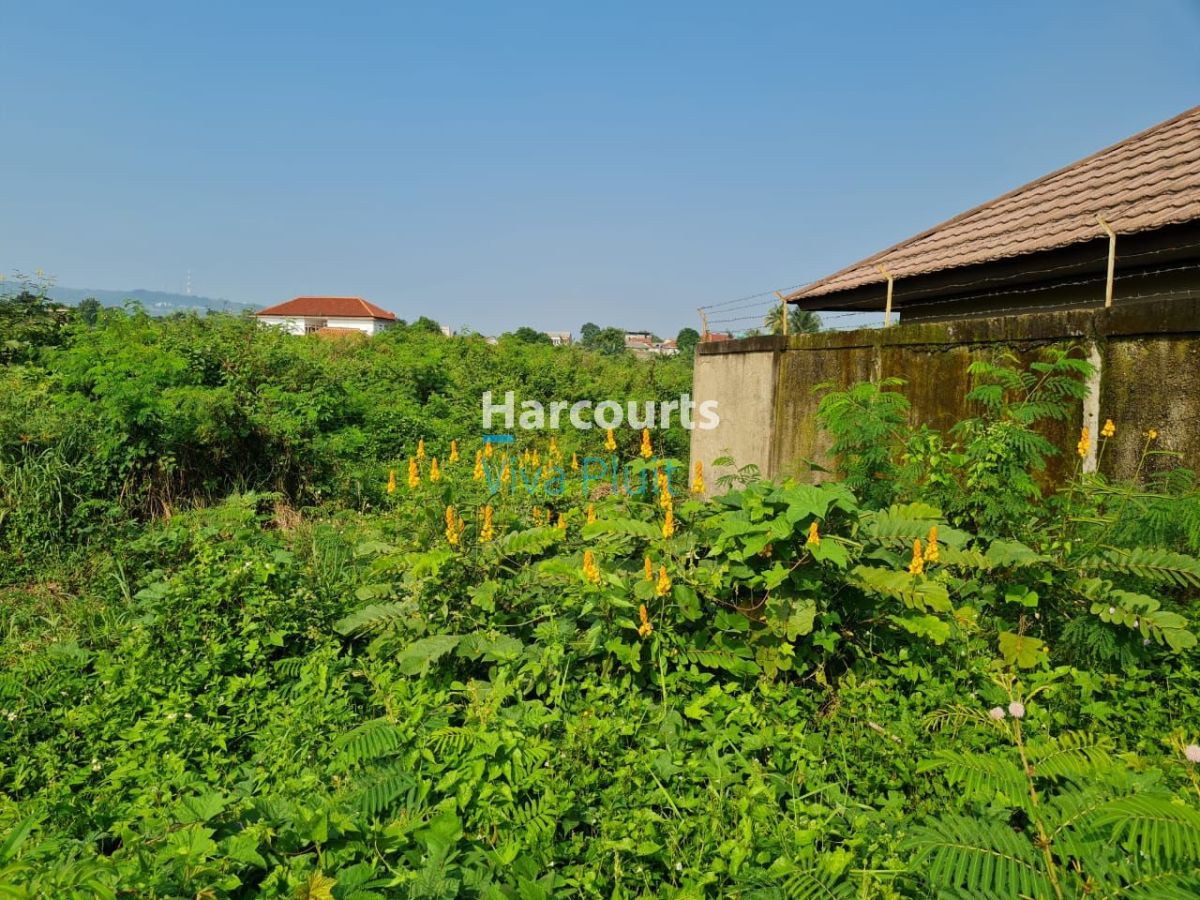 Dijual Tanah Jl. Raya Industri, Citeureup, Bogor. Harga Murah Nego!