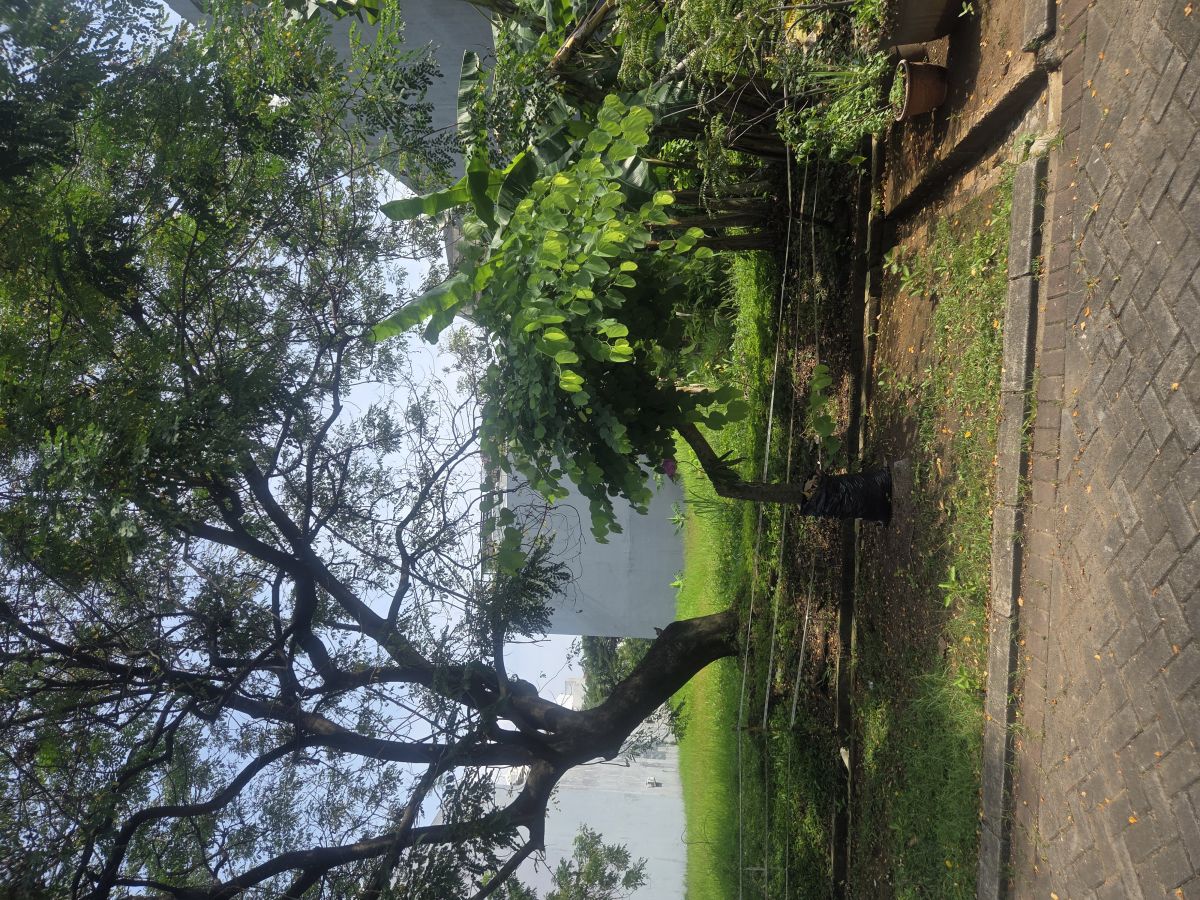 Dijual Cepat Kavling Bahtera Permai, Pantai Indah Kapuk. Harga Murah Nego!