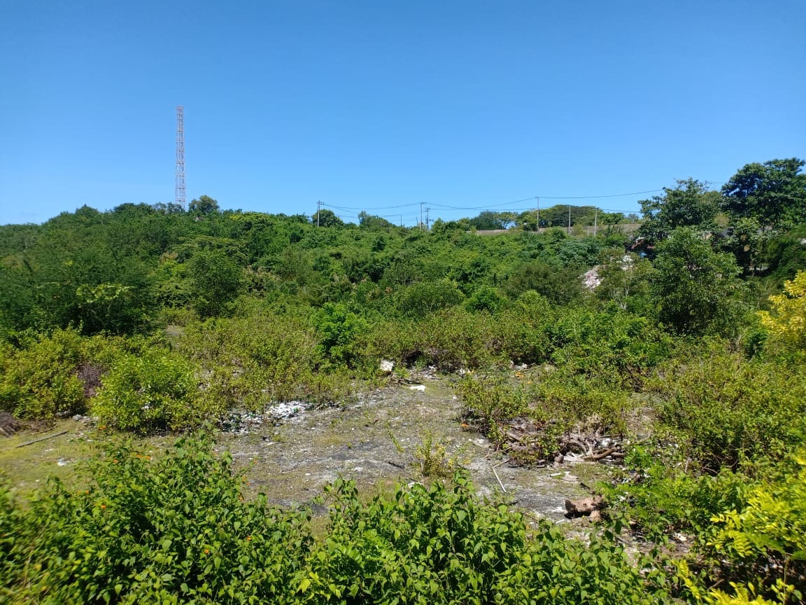 53 Are Land Plot for Sale, Pandawa - Foto 3