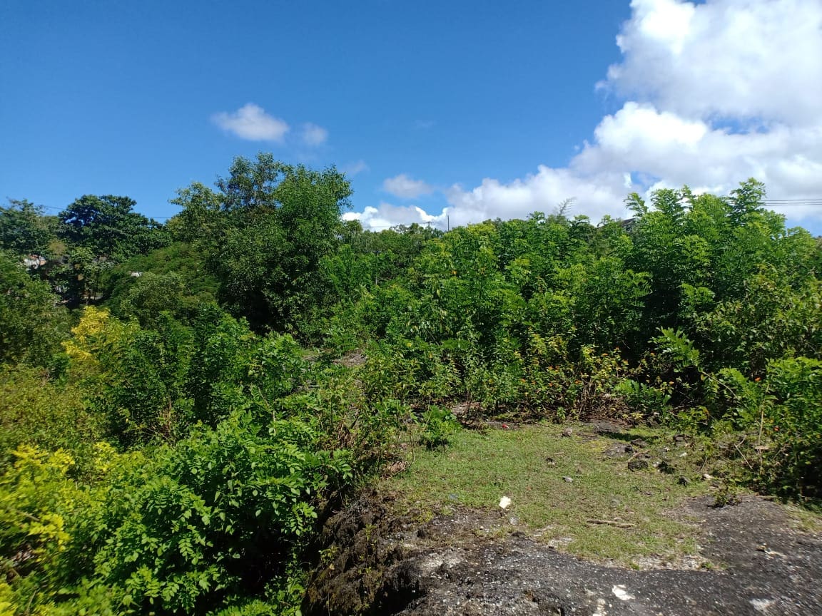 53 Are Land Plot for Sale, Pandawa - Foto 9