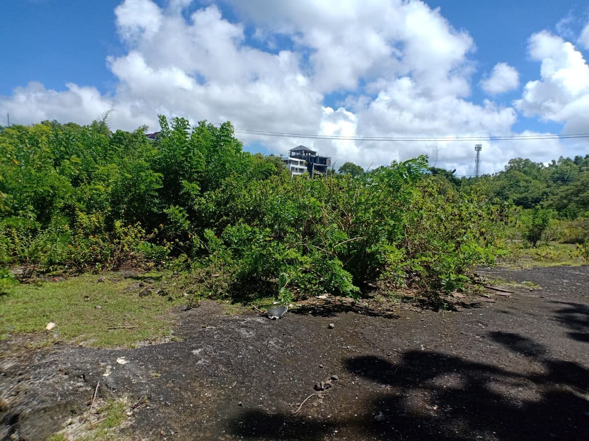 53 Are Land Plot for Sale, Pandawa - Foto 10