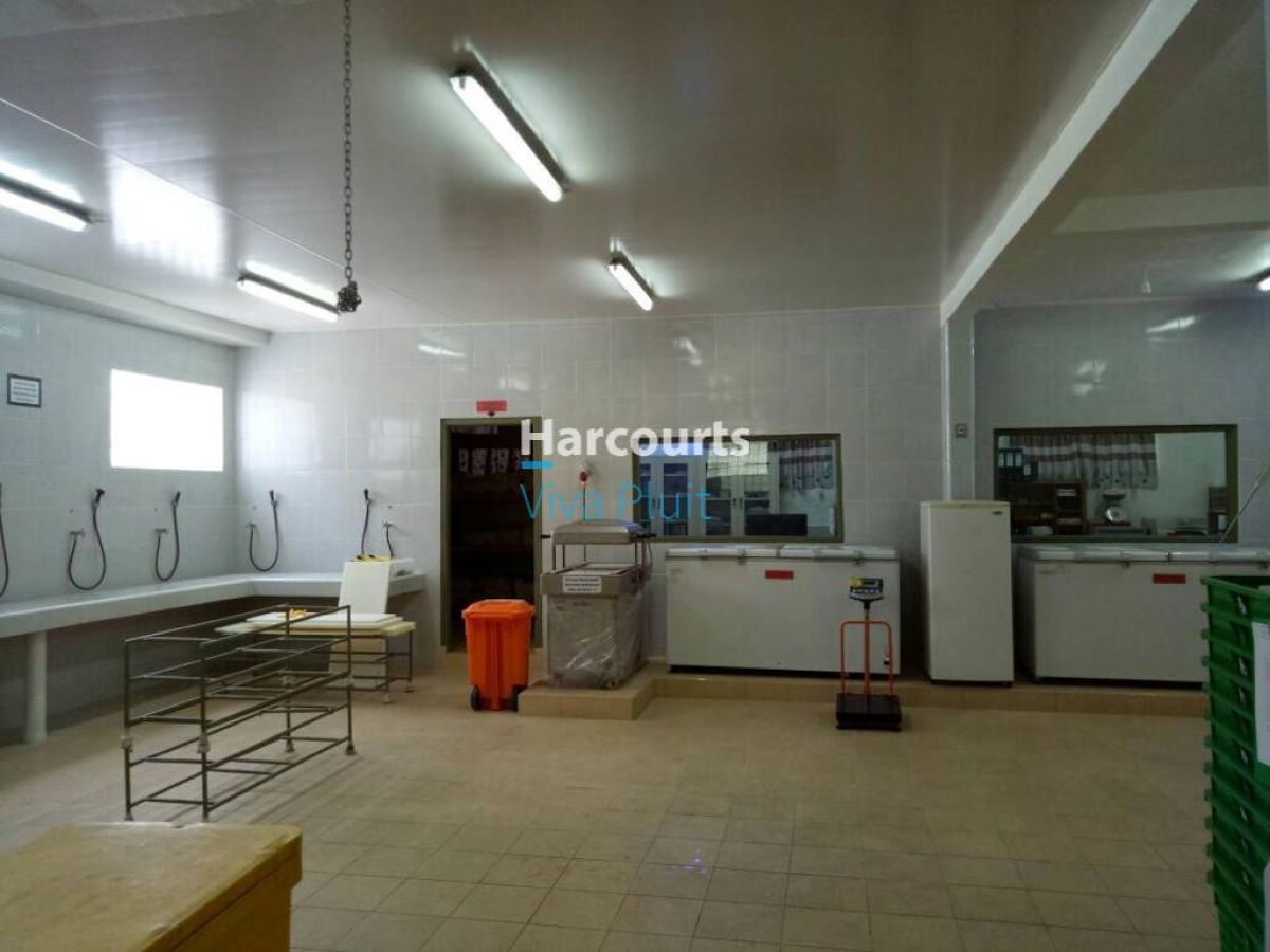 Dijual Gudang 2 unit di Kedonganan, Kuta, Badung, Bali. Harga Nego Sampai Deal! - Foto 6