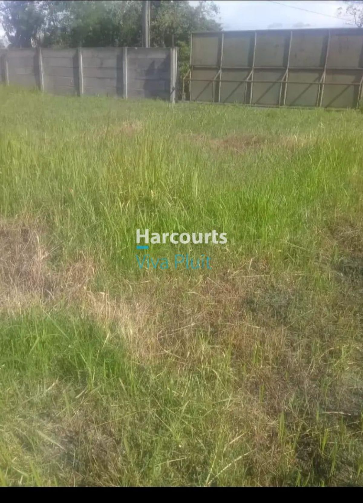 Dijual Tanah di Munjul, Tigaraksa, Tangerang. Lokasi Strategis Harga Nego! - Foto 2