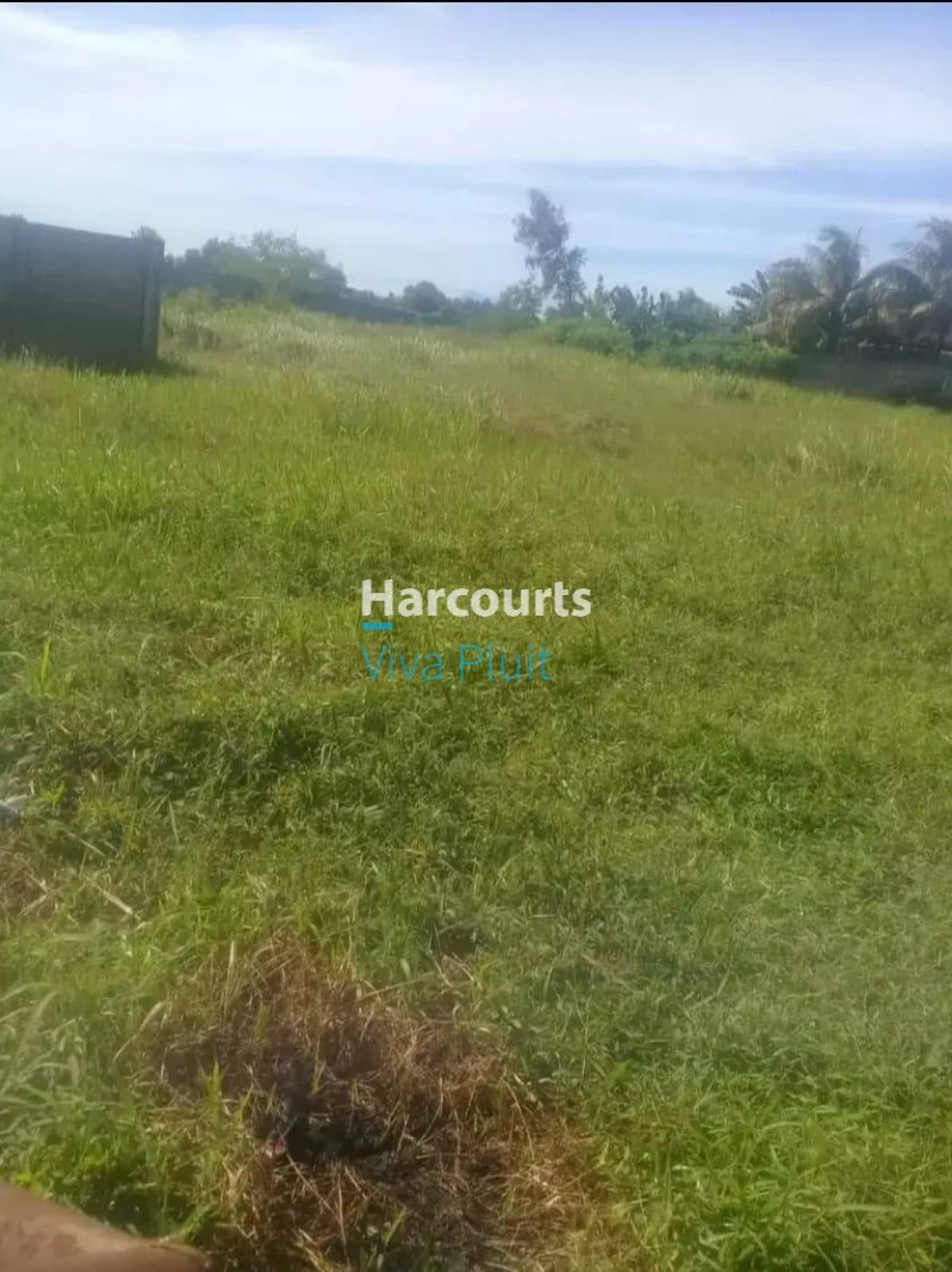 Dijual Tanah di Munjul, Tigaraksa, Tangerang. Lokasi Strategis Harga Nego! - Foto 4