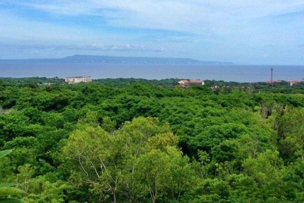 Hillside Land Plot, with stunning ocean views