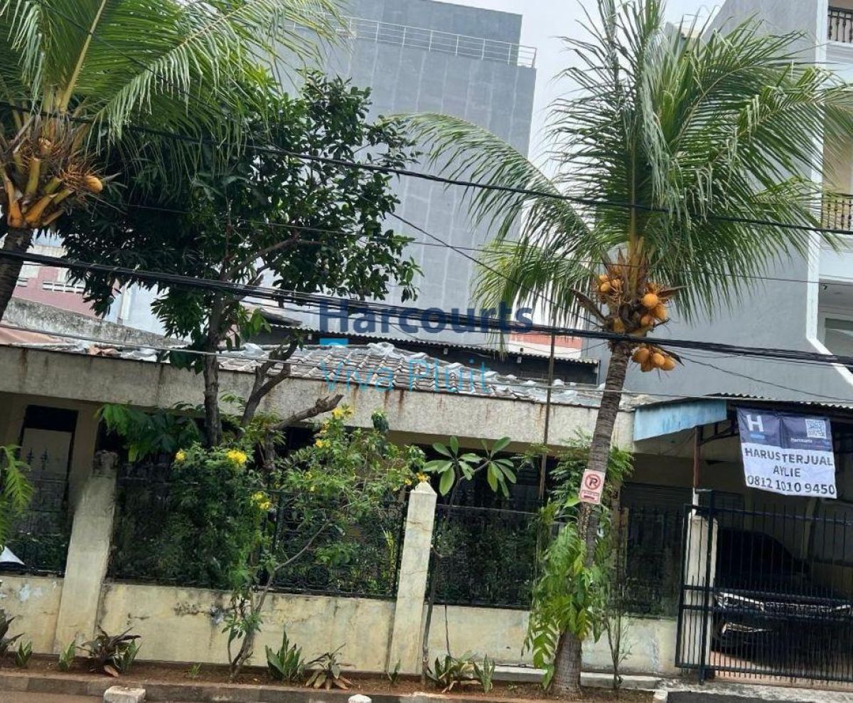 Harus Cepat Terjual! Rumah Hitung Tanah di Jl. Pluit Permai, Jakarta Utara.