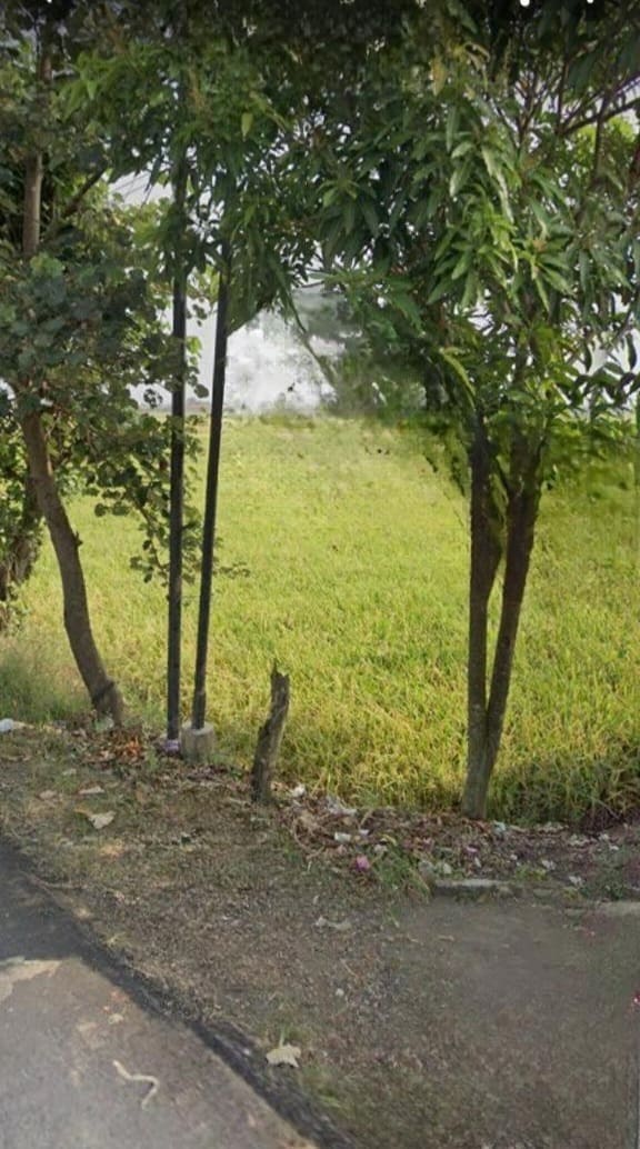 Dijual tanah sawah daerah pemalang jawa tengah