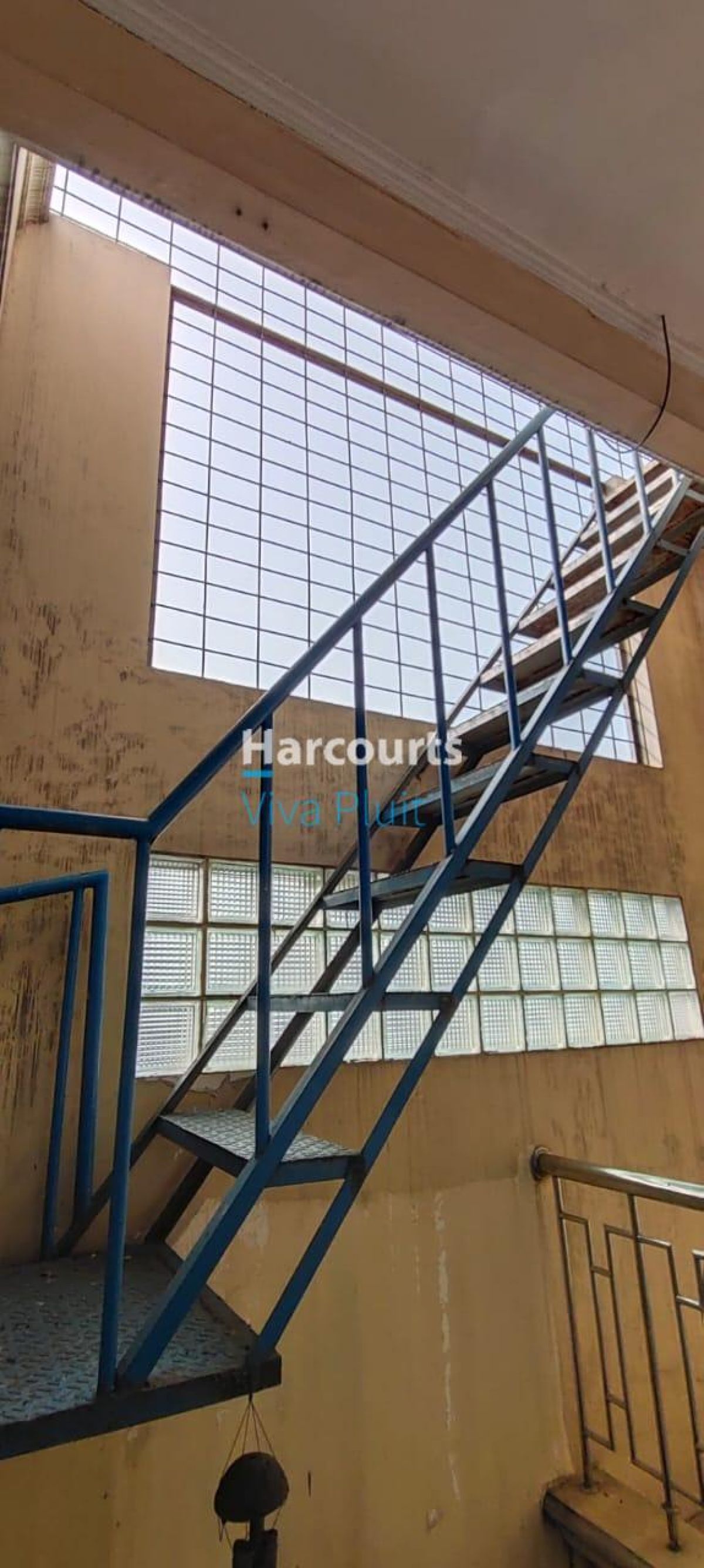 Dijual Cepat. Rumah Jl. Pluit Putra. Siap Huni Harga Turun!! - Foto 5