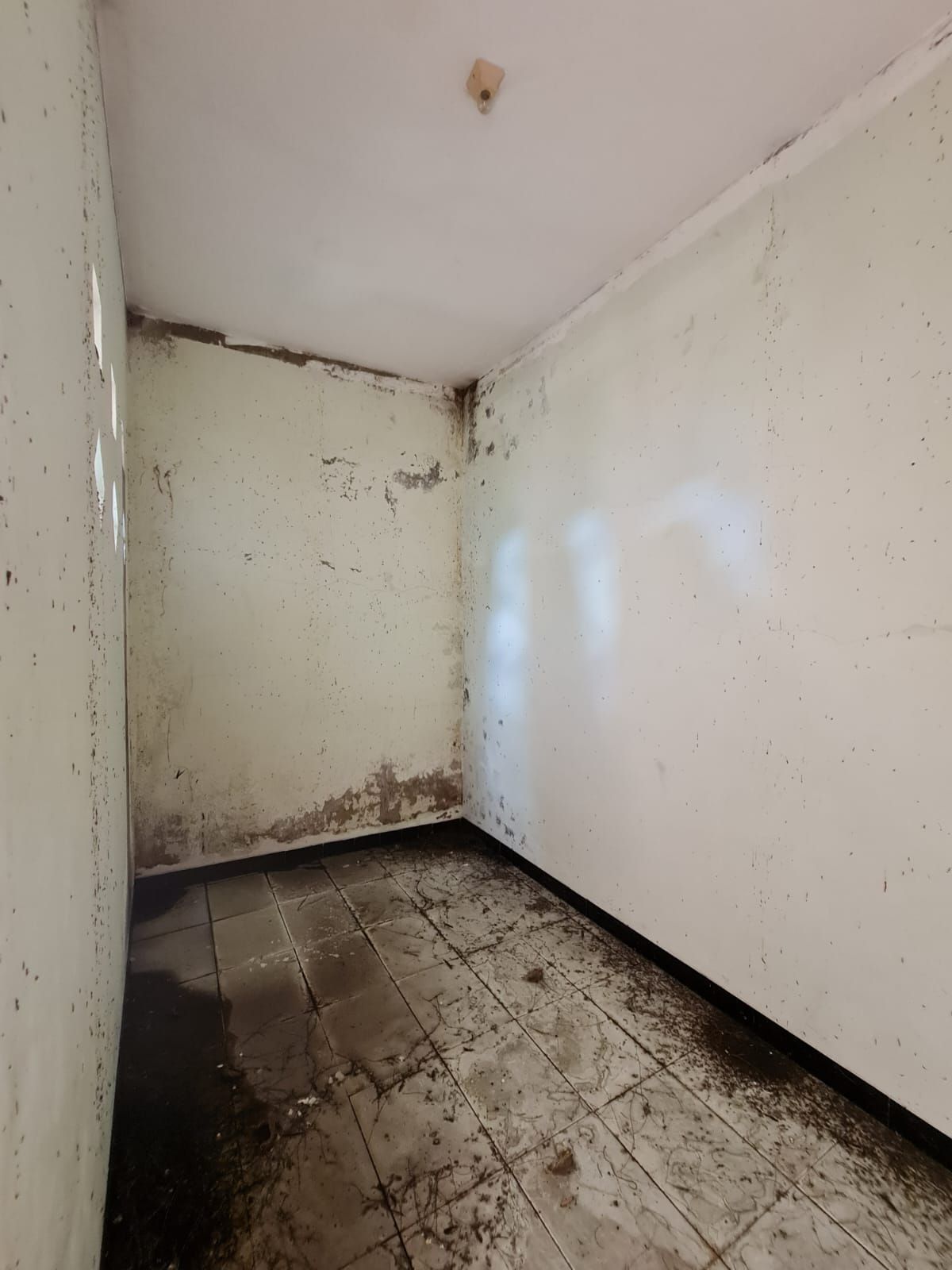 Ruko strategis perlu renovasi 2 lantai di jalan ronggowarsito solo - Foto 15