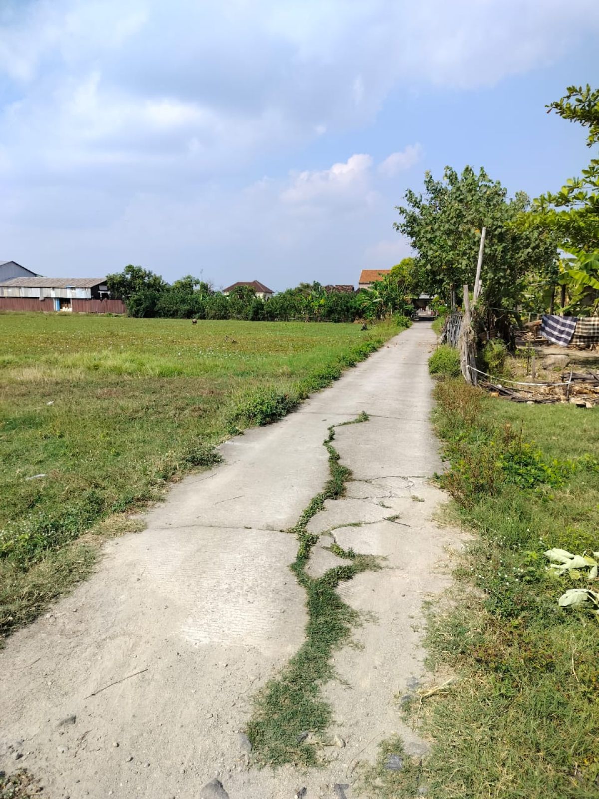Tanah kering strategis pinggir jalan cuplik sukoharjo - Foto 2