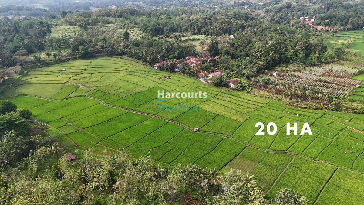 Dijual Tanah di Cibinong Hilir, Cianjur. Cocok Untuk Investasi, Harga Nego.