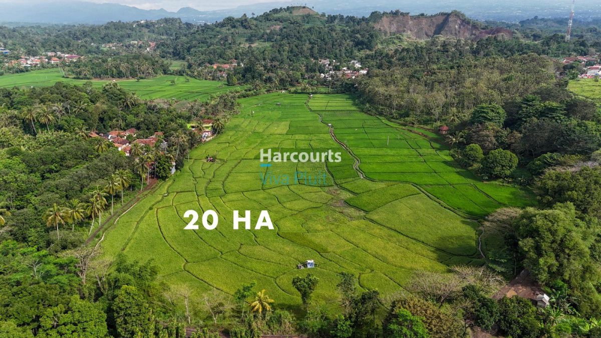 Dijual Tanah di Cibinong Hilir, Cianjur. Cocok Untuk Investasi, Harga Nego. - Foto 3
