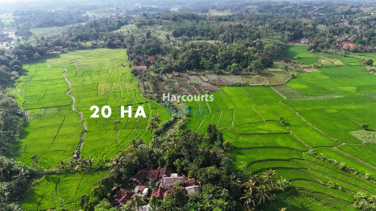 Dijual Tanah di Cibinong Hilir, Cianjur. Cocok Untuk Investasi, Harga Nego. - Foto 4
