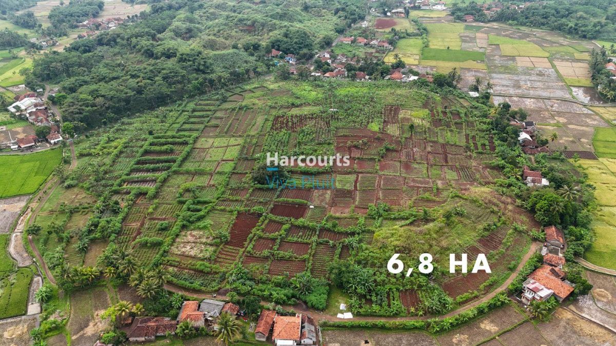 Dijual Tanah di Cibinong Hilir, Cianjur. Cocok Untuk Investasi, Harga Nego. - Foto 6