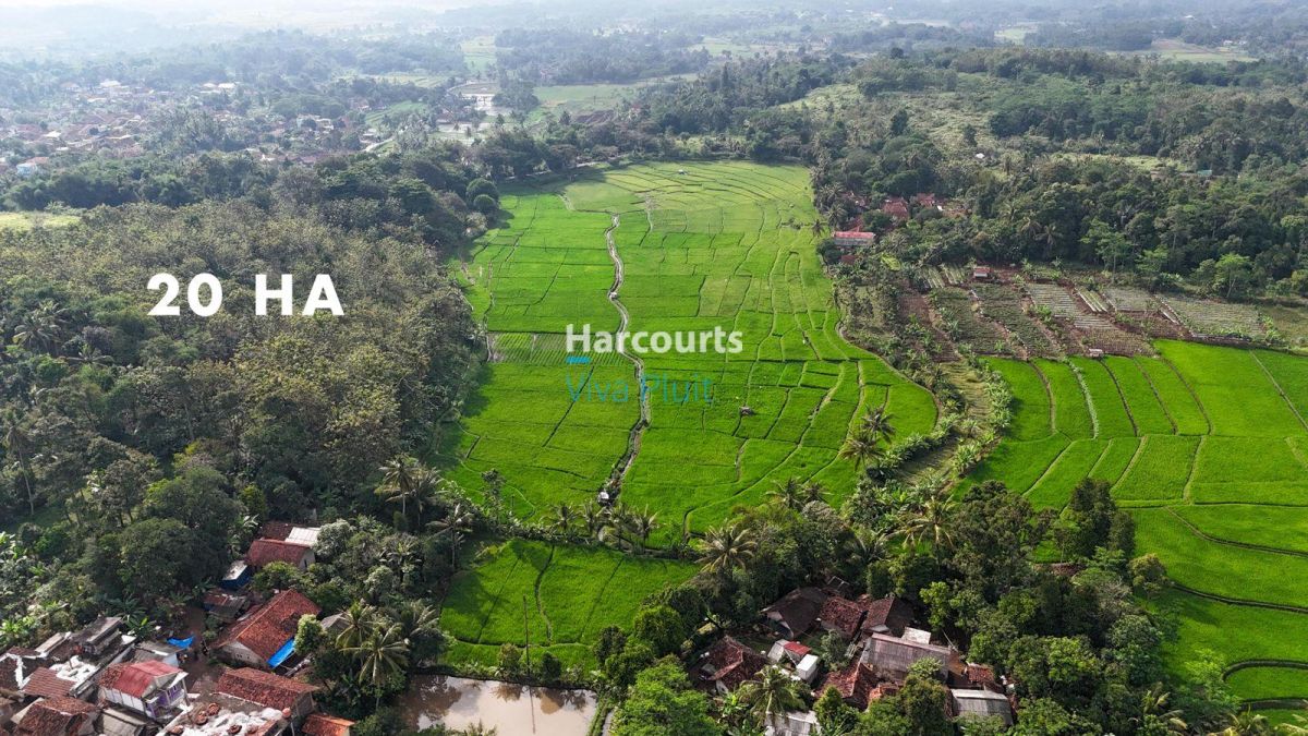 Dijual Tanah di Cibinong Hilir, Cianjur. Cocok Untuk Investasi, Harga Nego. - Foto 8