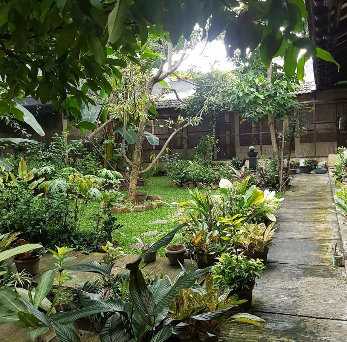 Dijual rumah lama dan luas daerah kesehatan bintaro jakarta selatan - Foto 7