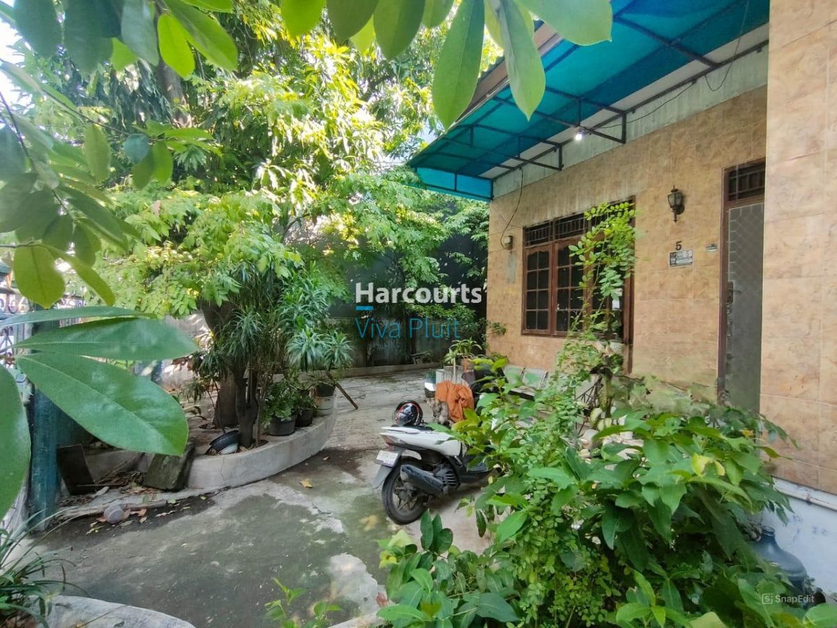 Dijual Rumah Tua Kampung Gusti, Teluk Gong. Harga Murah Nego.