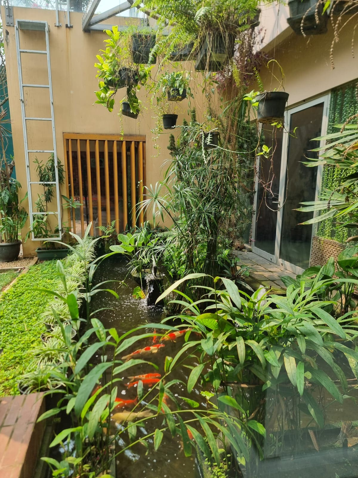 Jual Cepat Rumah di Cluster Sutera, Alam Sutera BSD (RR) - Foto 5