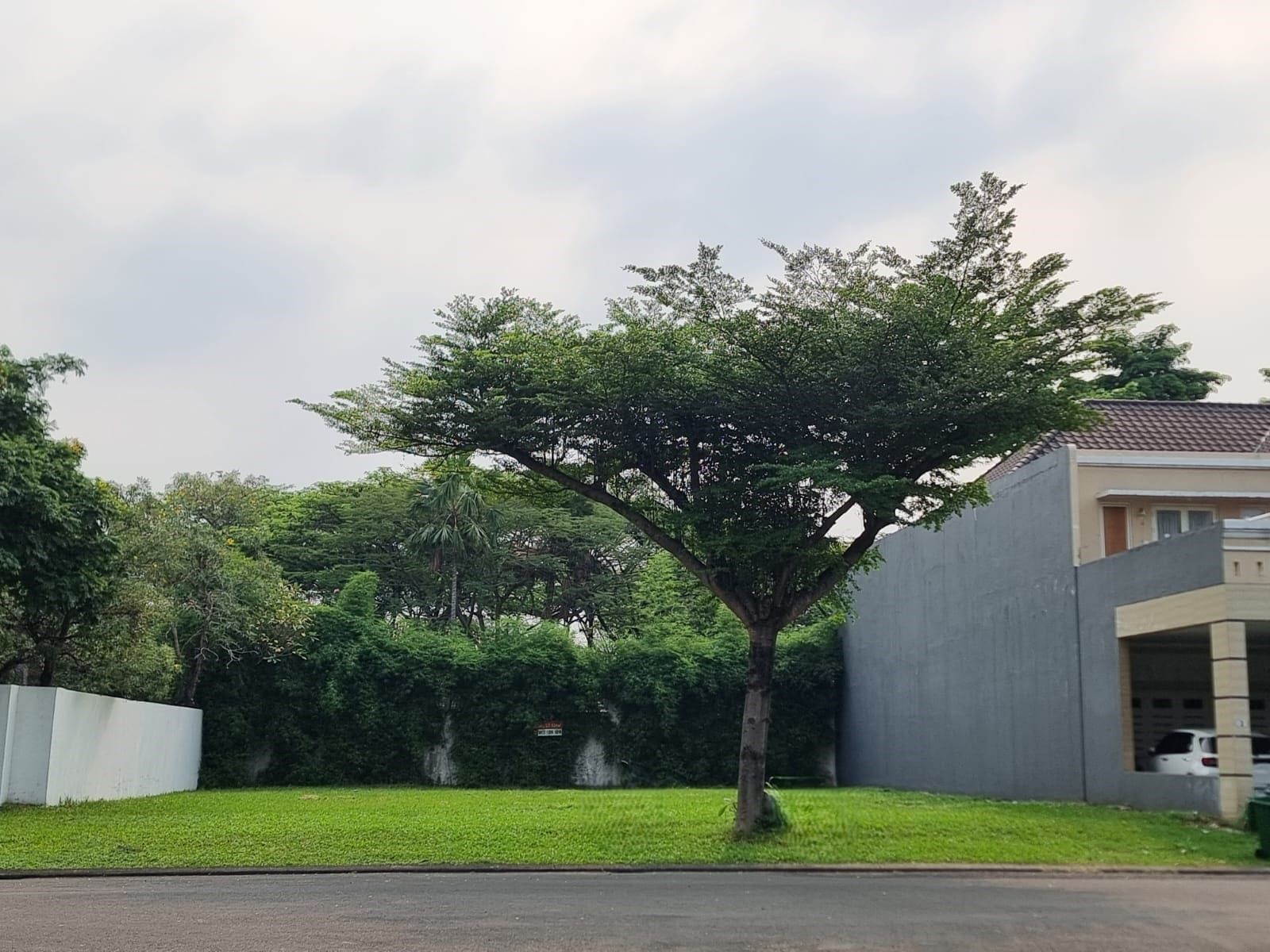 Jual Cepat! Kavling Tanah di Cluster Sutera, Alam Sutera BSD (RR)