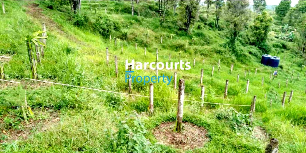 Dijual Tanah Luas Bisa untuk Bikin Perumahan Di Bogor