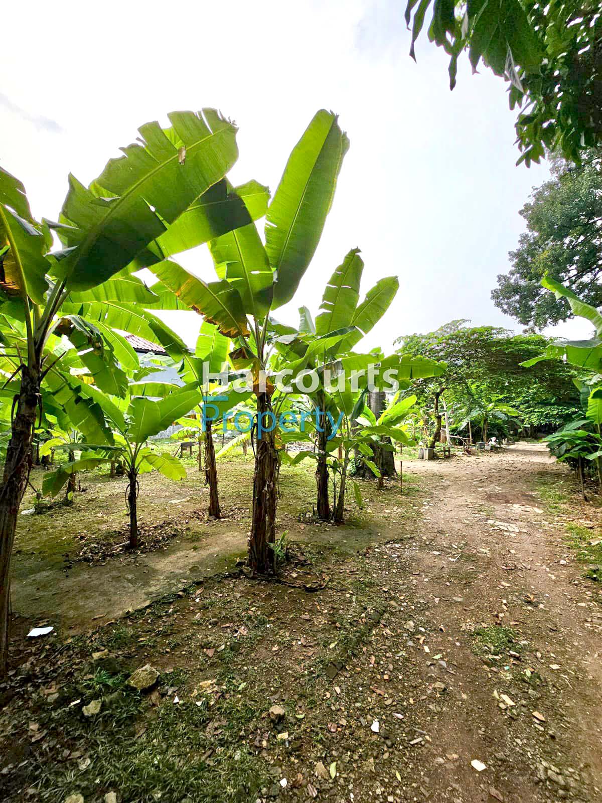 Dijual Tanah Luas Di Lokasi Strategis Area Kebayoran Baru - Foto 3