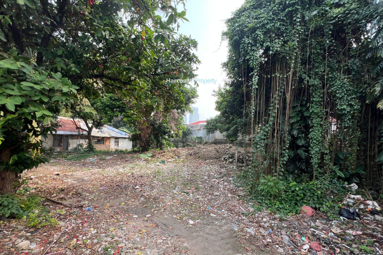 Dijual Tanah Bisa untuk Bangun Rumah Baru Area Kemang - Foto 2