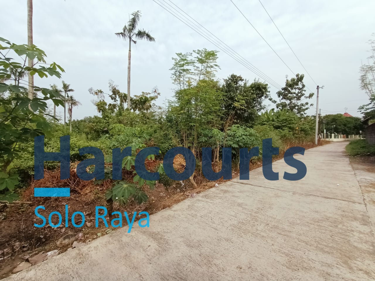 Dijual Cepat! Tanah Potensial di Solo, 5 Menit ke Bandara dan Embarkasi Haji - Foto 4
