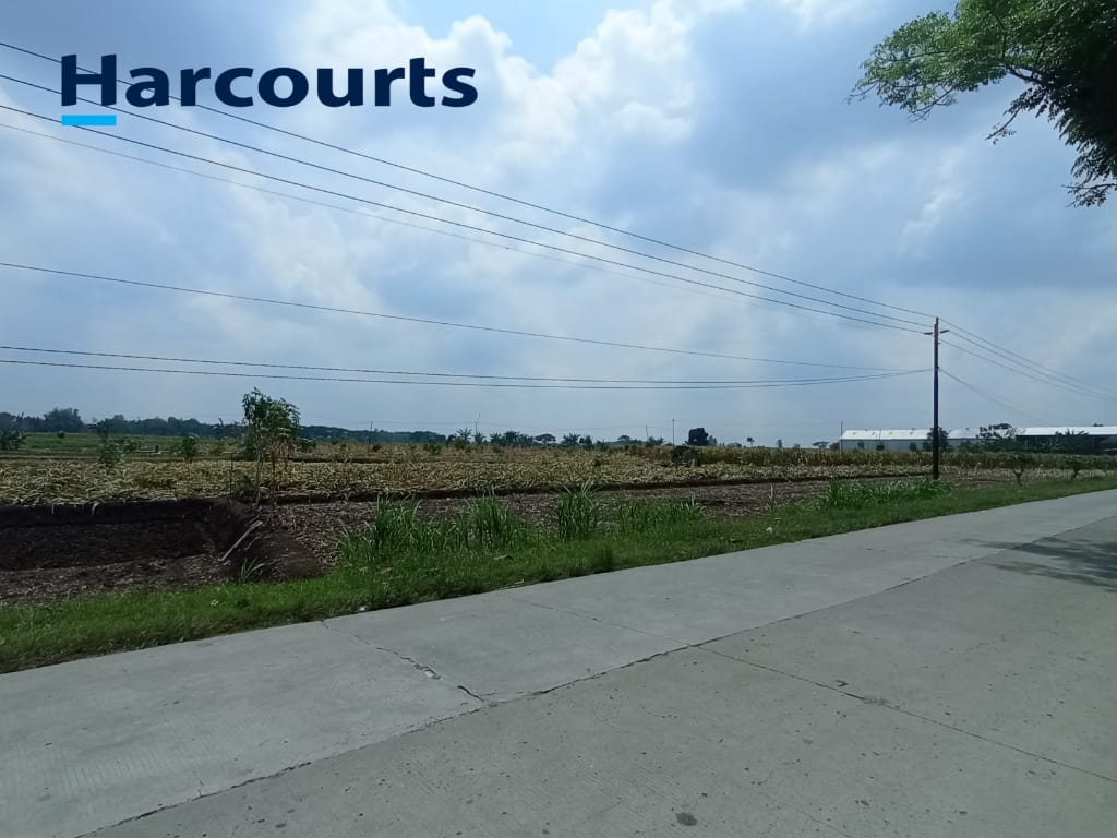 Dijual Cepat! Tanah 2 Muka, Zona Merah Kontur Datar, Lokasi Strategis Mojopuro Sumberlawang - Foto 5